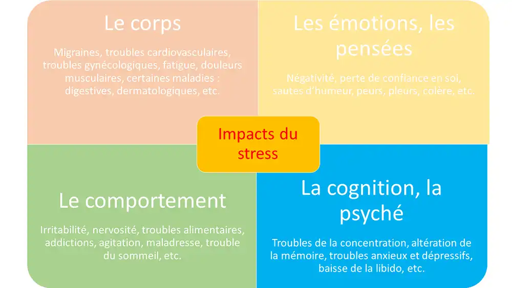 activité_comp16