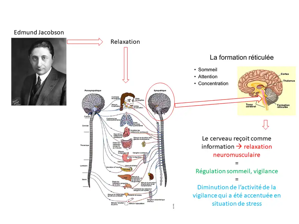 activité_comp19