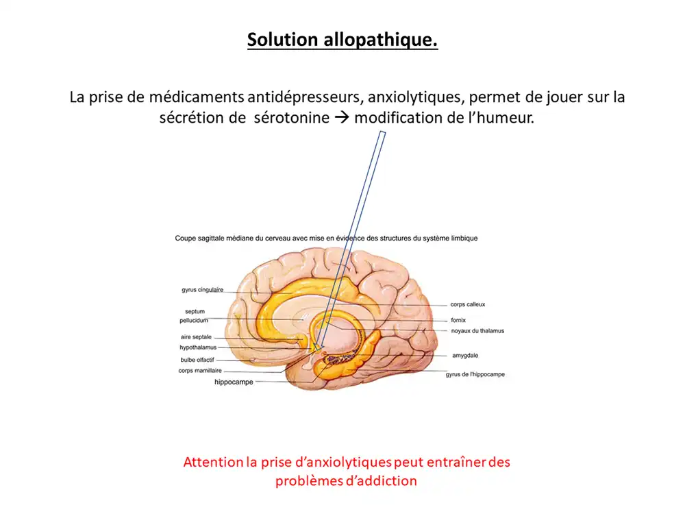 activité_comp17
