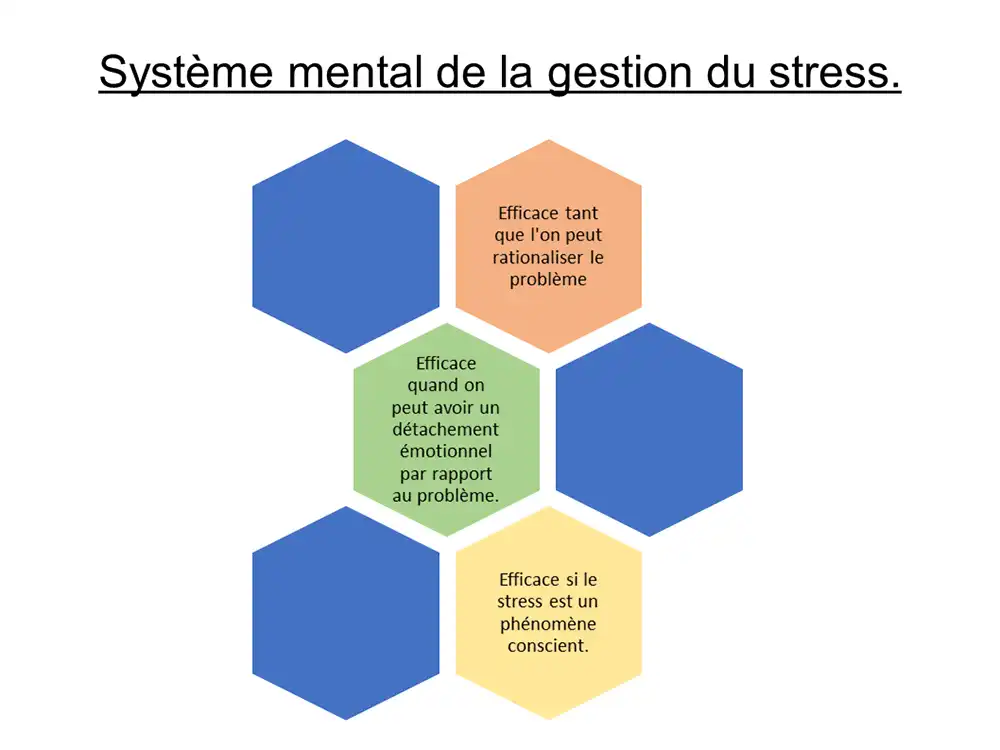 activité_comp18